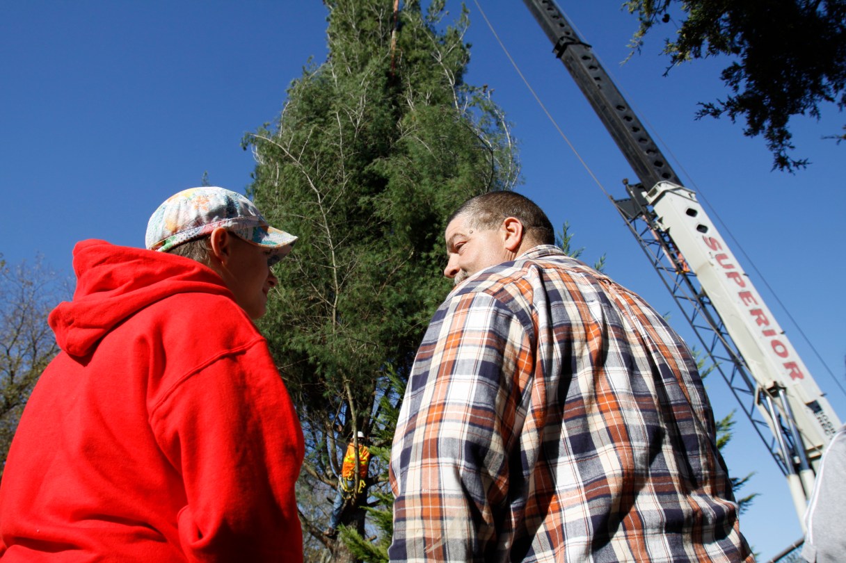 macys-tree-cut-ocoee
