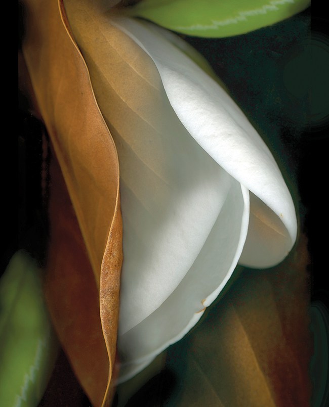 form