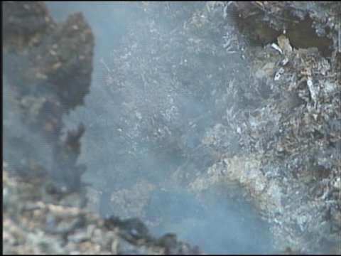forest-fires-breakout-polk-county