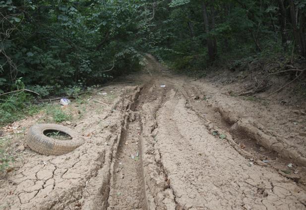 turf-war-turns-into-environmental-issue
