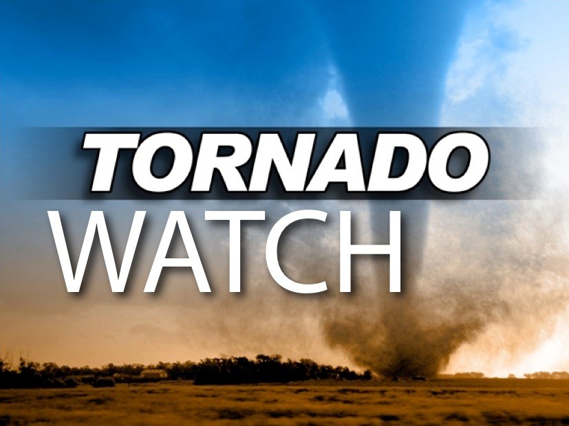 tornando-watch
