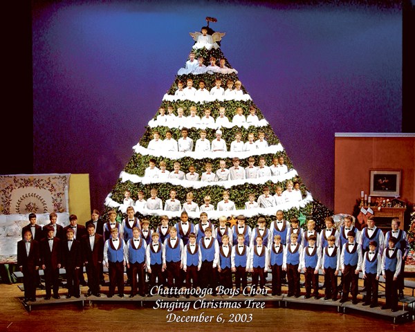 tree-traditions