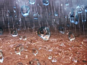 todays-weather-forecast