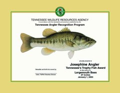 trophy-catch