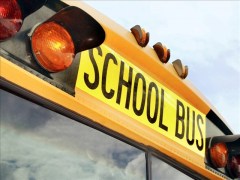 School bus tile