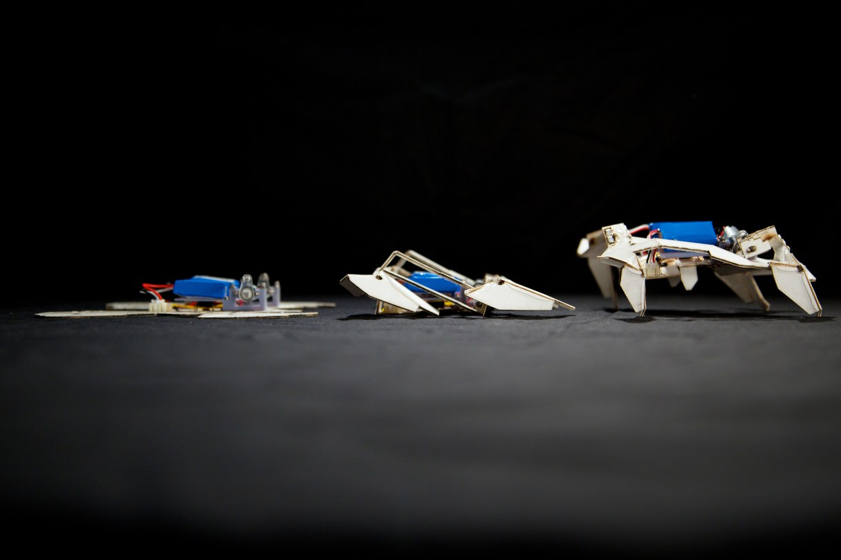This undated handout image provided by the journal Science shows a self-folding crawling robot in three stages. In what may be the birth of cheap, easy-to-make robots, researchers have created complex machines that transform themselves from little more than a sheet of paper and plastic into walking automatons. Borrowing from the ancient Japanese art of origami, children’s toys and even a touch of the “Transformers” movies, scientists and engineers at Harvard and MIT created self-assembling, paper robots. They are made out of hobby shop materials that cost about $100. After the installation of tiny batteries and motors, the paper robot gets up, folds itself into the proper shape and is ambling across the table in just four minutes. (AP Photo/Seth Kroll, Wyss Institute - Science)