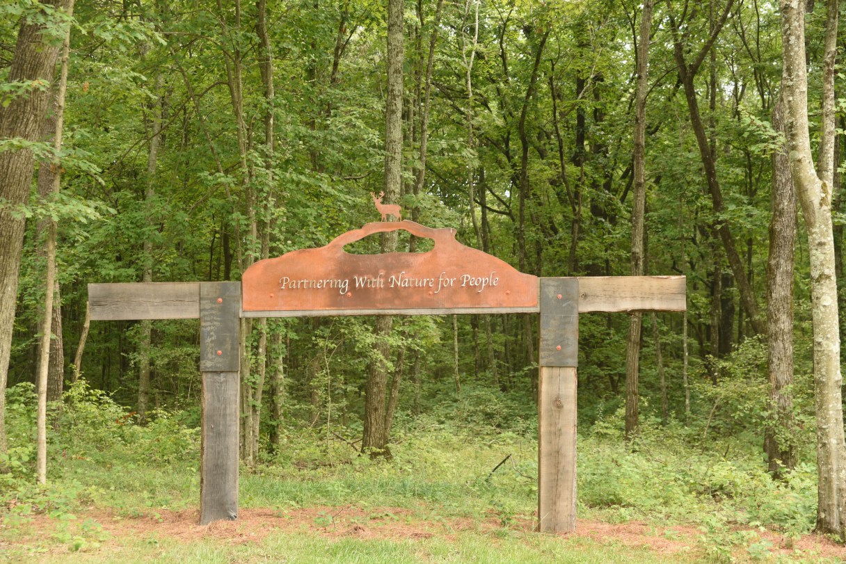 A nature area is featured inside the Wild Ridge development on Signal Mountain.