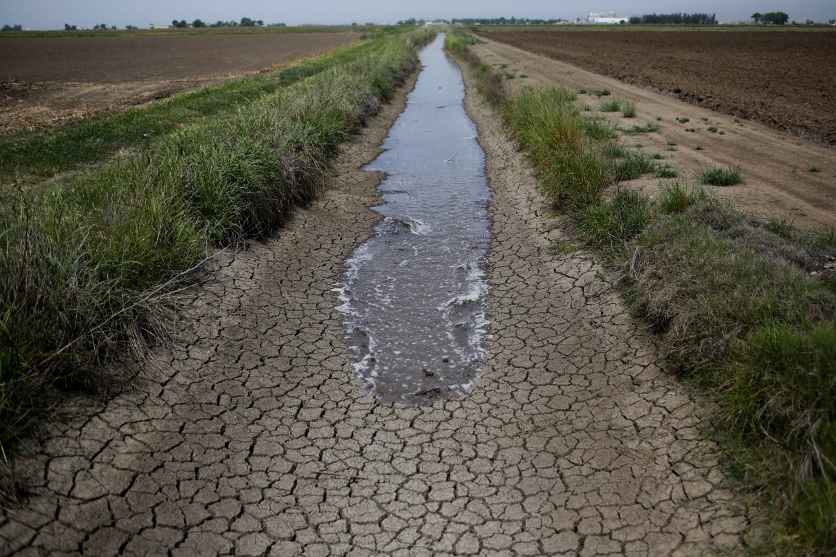 FILE - In this May 1, 2014 file photo, irrigation water runs along the dried-up ditch between the rice farms to provide water for the rice fields in Richvale, Calif. The federal government will be pouring nearly a quarter-billion dollars into several dozen projects aimed at tackling the effects of drought in the West and restoring watersheds that provide drinking water to communities around the nation. The head of the U.S. Department of Agriculture's Natural Resources Conservation Service, Jason Weller, said Wednesday, Dec. 21, 2016, that in addition to the federal funds, the projects will leverage close to $500 million from state, local and private partners. (AP Photo/Jae C. Hong, File)