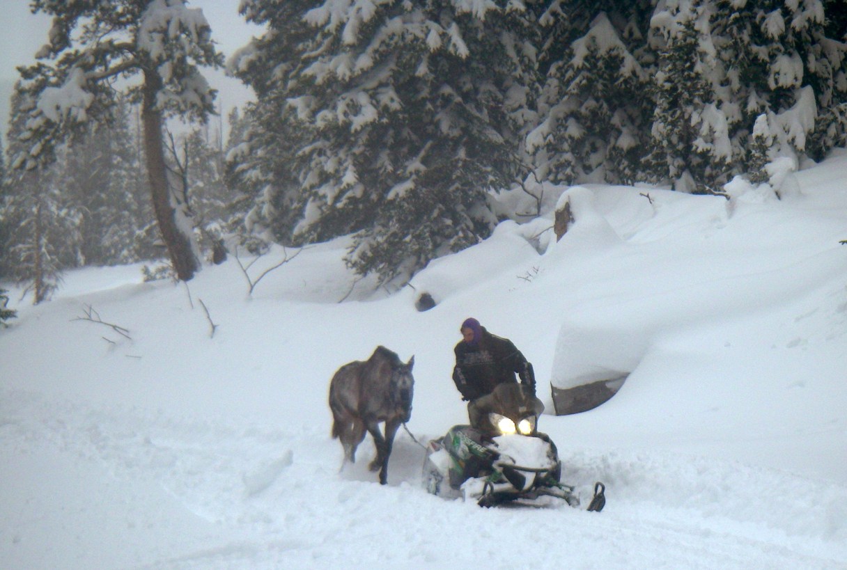 FILE - In this December 2016 file photo provided by the U.S. Forest Service, B.J. Hill from Swift Creek Outfitters helps rescue his horse, Valentine, from a remote area in northwestern Wyoming. Valentine spent eight weeks in the wilderness after being left behind by an excursion company after getting sick. Prosecutors announced Thursday, Feb. 23, 2017 that they haven't found any evidence of criminal wrongdoing in the case. (U.S. Forest Service via AP, File)