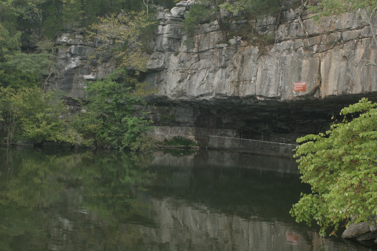 Reflection Riding Arboretum and Nature Center is hosting a 40-minute presentation on the characteristics and benefits of bats. Participants then will carpool to Mapleview Day Use Area to see bats emerge from Nickajack Cave on Friday night.