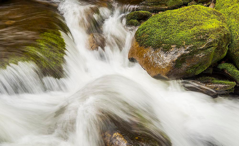 "Spring Flow," a photo by Spears McAllester, is among the works featured in an exhibit at First Christian Church. The show runs through June and sales benefit the Chattanooga Community Kitchen. / Photo by Spears McAllester