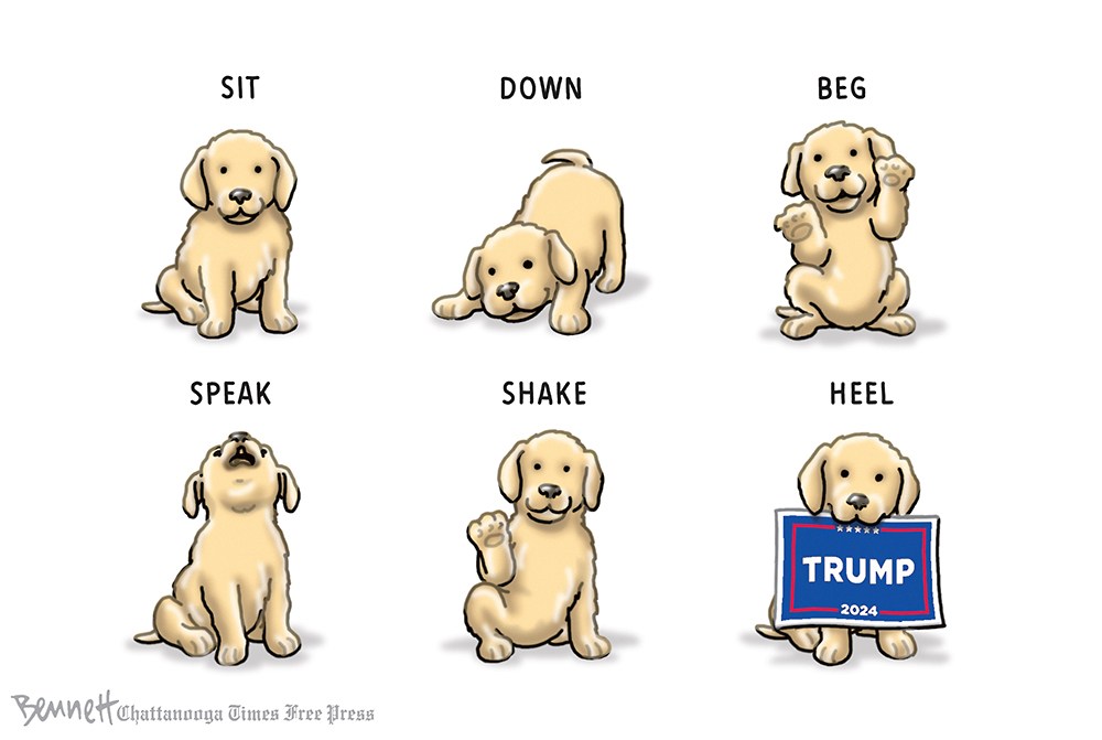 Smart Dog