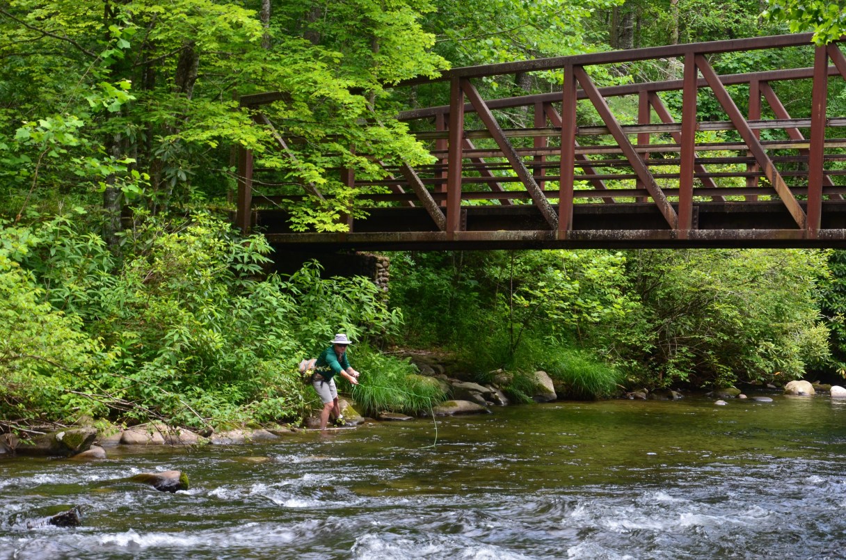 Photo contributed by Nick Carter/ Scott Nelson works a run beneath one of several bridges that keep hikers' feet dry on the lower end of the Hazel Creek Trail. Despite the remoteness of the area, the National Park Service maintains the trail, its bridges and a few of the remains of Proctor with equipment and materials brought over by barge.