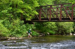 Photo contributed by Nick Carter/ Scott Nelson works a run beneath one of several bridges that keep hikers' feet dry on the lower end of the Hazel Creek Trail. Despite the remoteness of the area, the National Park Service maintains the trail, its bridges and a few of the remains of Proctor with equipment and materials brought over by barge.