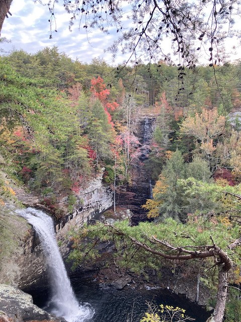 Hagan recommended the Foster Falls Climbers Loop, which takes hikers from Foster Falls to the Small Wilds area, because of its amazing fall foliage and beautiful views.  These pictures are from her hike on November 2, 2021.