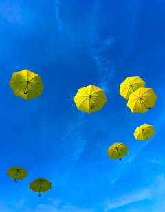 Floating Umbrellas by Anna Lawry