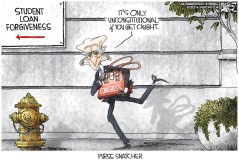 Purse Snatcher