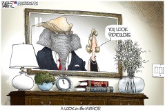 A Look in the Mirror