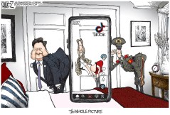 The Whole Picture