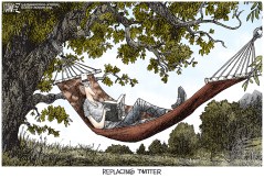 Replacing Twitter