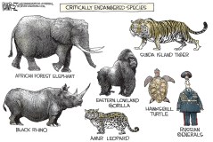 Critically Endangered Species