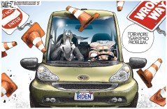 An Eventful Drive