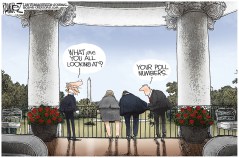 Poll Numbers
