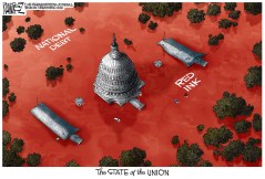 The State of the Union