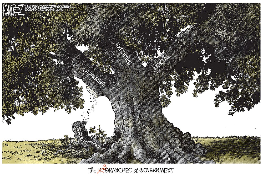 Branches