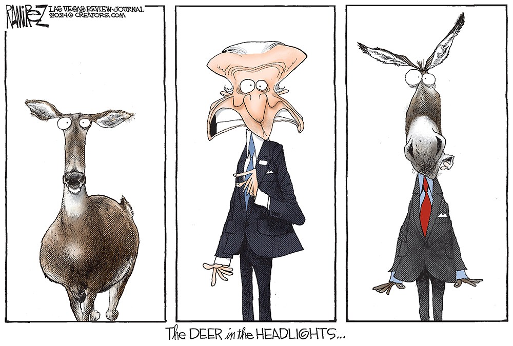 Deer in Headlights