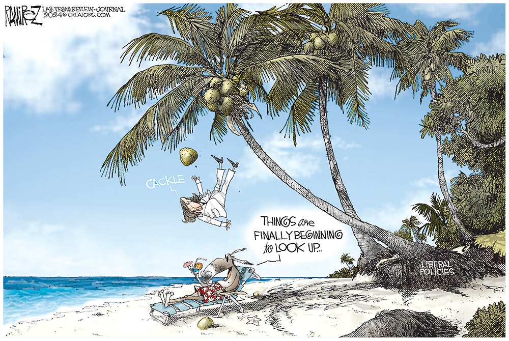 Coconut Tree