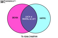 The Venn Diagram