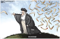 Boomerang