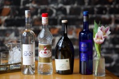 Staff photo by Lyric Lewin / A selection of arak bottles at Calliope