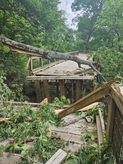 Chattanooga Parks and Outdoors / Damage to the South Chickamauga Creek Greenway is shown May 21, 2025, after two trees fell on a boardwalk during severe storms this month.