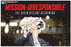 Mission Irresponsible