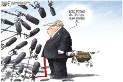 Epstein Hoax