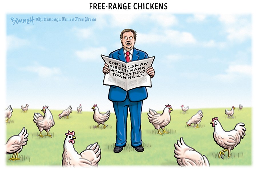 Chickens