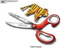 Tiger Taming