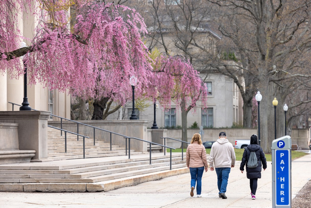 Photo by Scott Eisen/Getty Images/TNS / People walk past blooming trees on the Massachusetts Institute of Technology campus on April 15, 2025, in Cambridge, Massachusetts. MIT is one of nine universities suing the federal government, alleging that new cuts to Department of Energy grants are illegal.