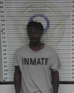 McMinn County Sheriff's Office / Kenterrius McGuffie, 29.