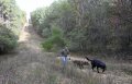 Staff file photo / Chris Taetsch walks his dogs, Jack and Grace, at Enterprise South Nature Park in October 2025.