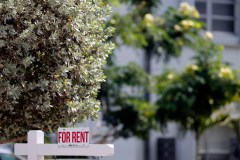 Photo by Amy Beth Bennett via South Florida Sun Sentinel/TNS / A sign lists a home for rent in Fort Lauderdale, Fla., on May 7, 2025.