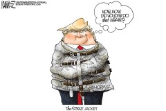 The Straitjacket