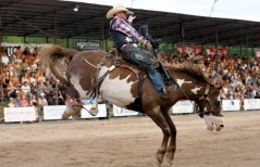 Staff file photo / Wacey Hethcock rides on a saddle bronc on July 11, 2025. The Ketner's Mill Rodeo is set for 7 p.m. CDT Friday-Saturday at Ketner's Mill Arena, 2350 Ketner Mill Road, Whitwell.