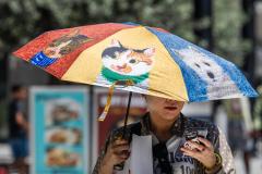 Photo by Myung J. Chun via Los Angeles Times/TNS / Warm weather brings out a colorful umbrella in downtown Los Angeles, California on Tuesday, July 14, 2026.