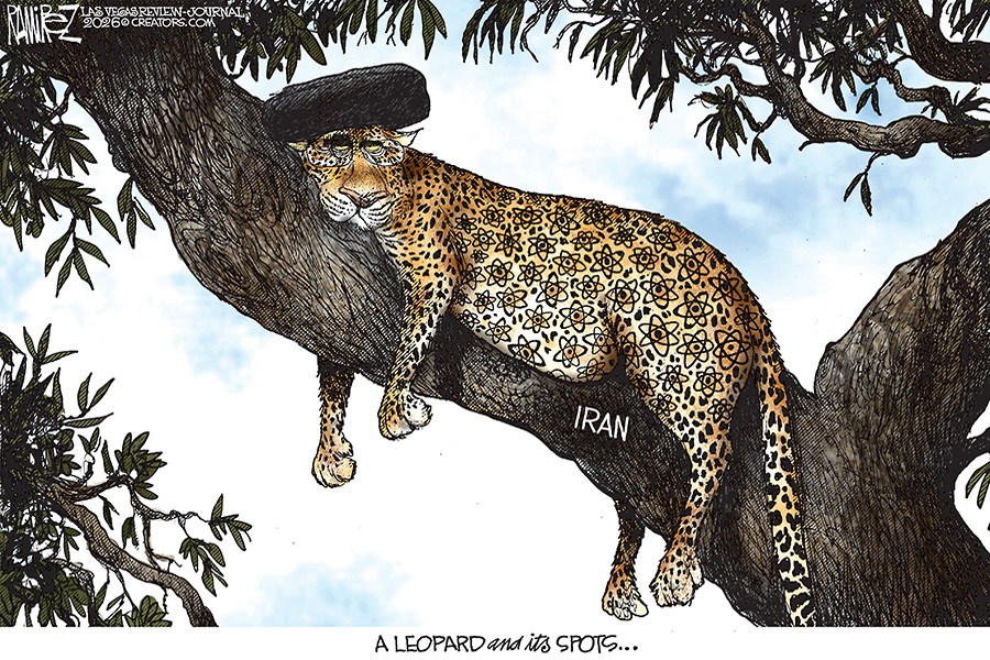 A Leopard and its Spots