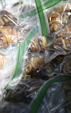 Staff photo by Abby White / Fresh rugelach being sold at Nosh-A-Nooga. Nosh-A-Nooga, a Jewish food festival, was held on Sunday, September 7, 2025 in Waterhouse Pavilion at Miller Plaza offering various kosher dishes for guests.