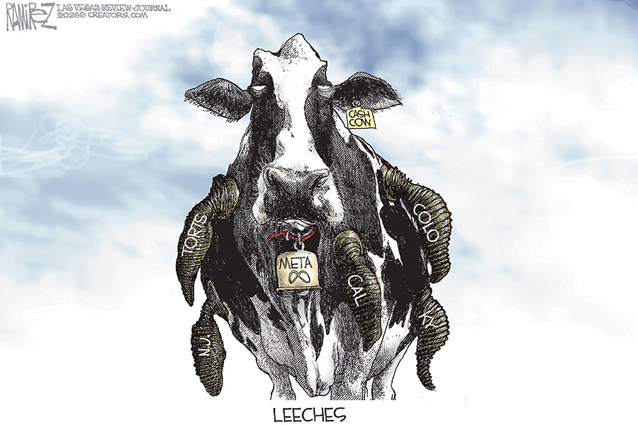 Leeches