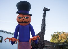 Staff file photo / Halloween decorations are seen during "Boo at the Zoo" at the Chattanooga Zoo.